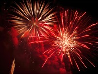 ¿Cuáles son los diferentes tipos de fuegos artificiales y sus efectos visuales?