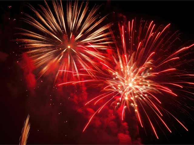 ¿Cuáles son los diferentes tipos de fuegos artificiales y sus efectos visuales?